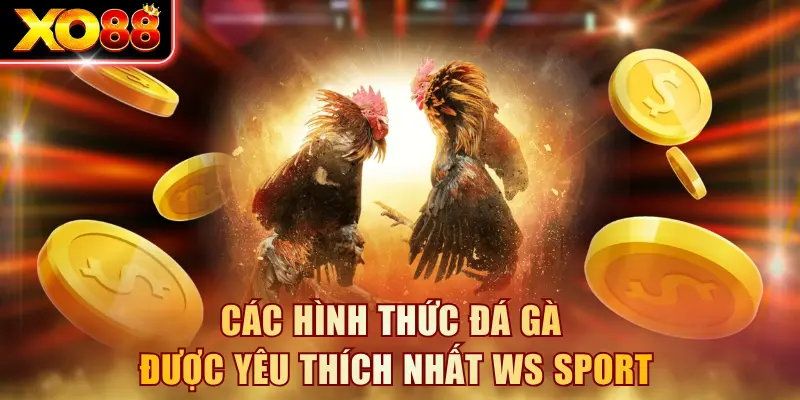 Các hình thức đá gà được yêu thích nhất WS Sport