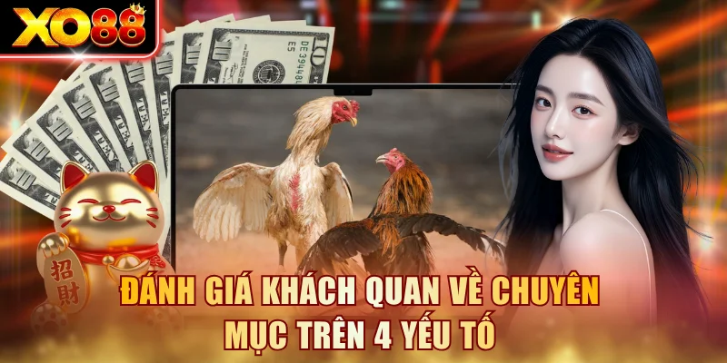 Đánh giá khách quan về chuyên mục trên 4 yếu tố