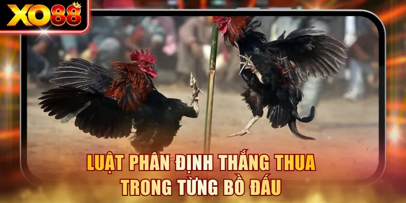 Luật phân định thắng thua trong từng bồ đấu