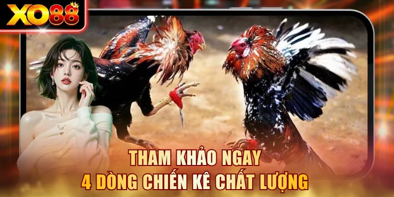 Tham khảo ngay 4 dòng chiến kê chất lượng
