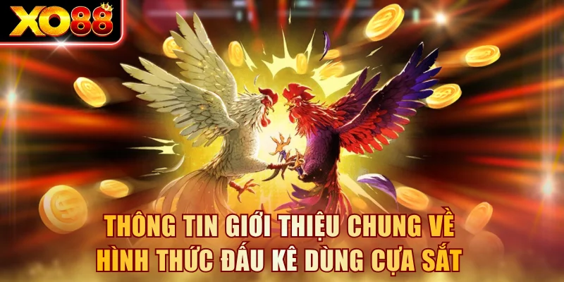 Thông tin giới thiệu chung về hình thức đấu kê dùng cựa sắt